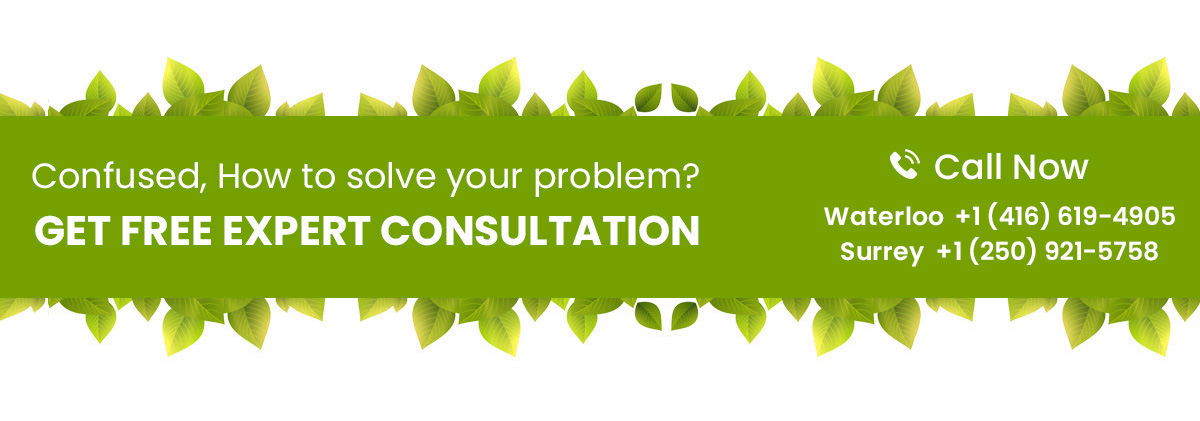 GET FREE EXPERT CONSULTATION