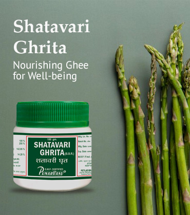 Holistic Health Healing